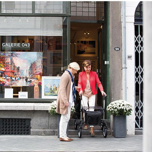 Produktbild Sunrise Leichtgewicht-Rollator Gemino 60