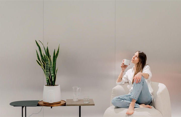 Immagine prodotto Vitesy Natede Basic Natürlicher Luftreiniger (20 m²)