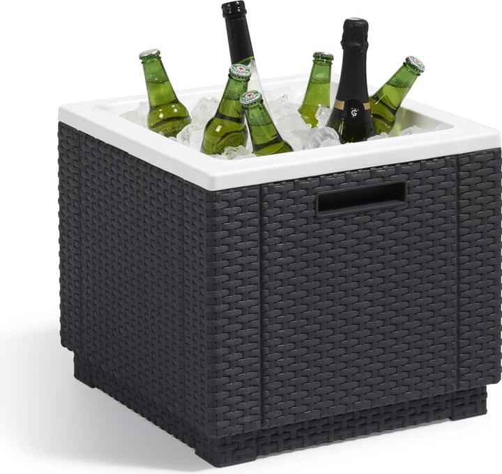 Image du produit Allibert ICE CUBE O/COUSSIN ART. 201309 - ANTHRACITE (40 l)