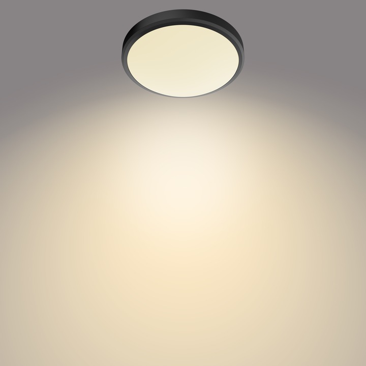 Image du produit Philips Doris Plafonnier (1500 lm)