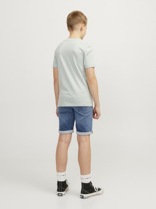 Actual product image Jack & Jones Regular Fit Regular Fit Shorts For boys Regular Fit Shorts (140)