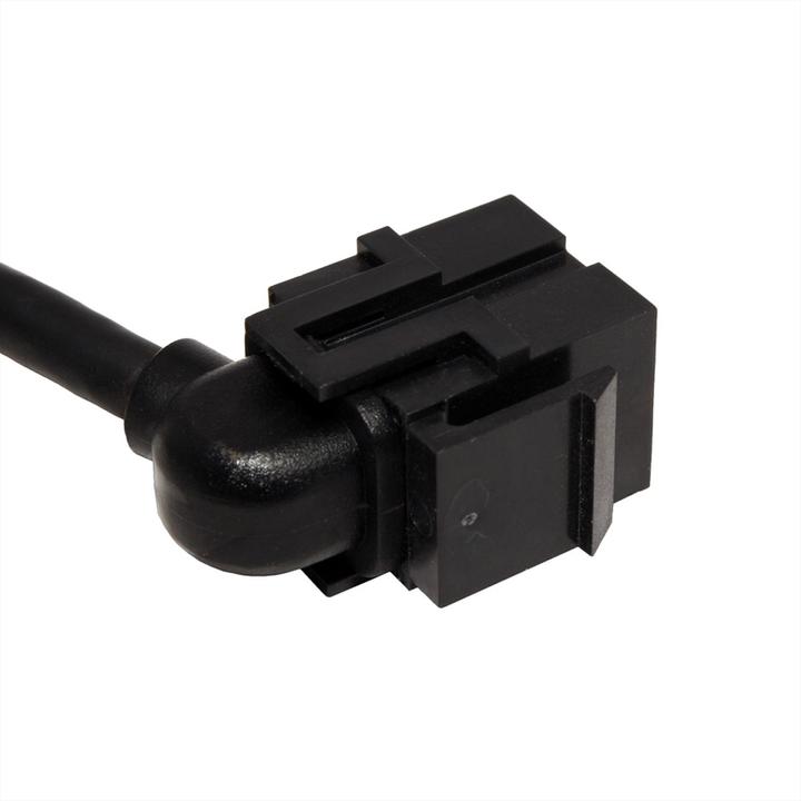 Image du produit Bachmann Keystone Mini DisplayPort/DisplayPort noir (0.50 m, DisplayPort)