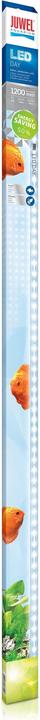 Juwel Aquarium LED Day (LED, 31 W)