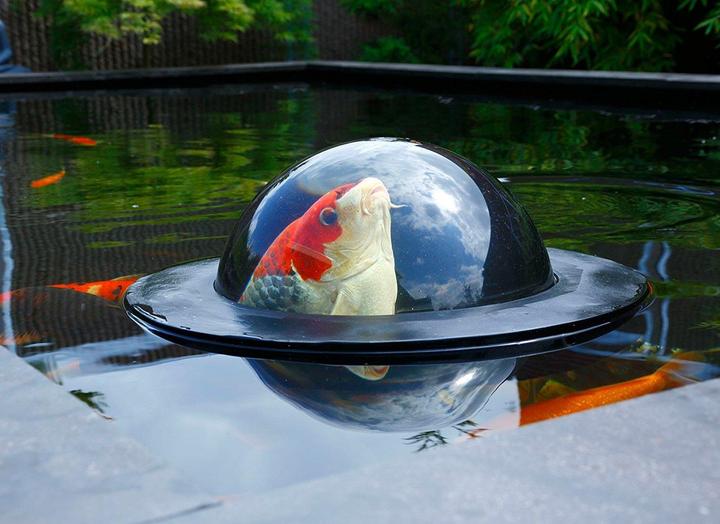 Immagine prodotto Neogard Cupola di pesce galleggiante