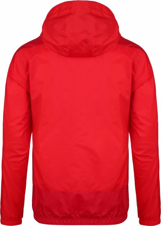 Produktbild Puma teamGoal 23 Regenjacke Herren (M)
