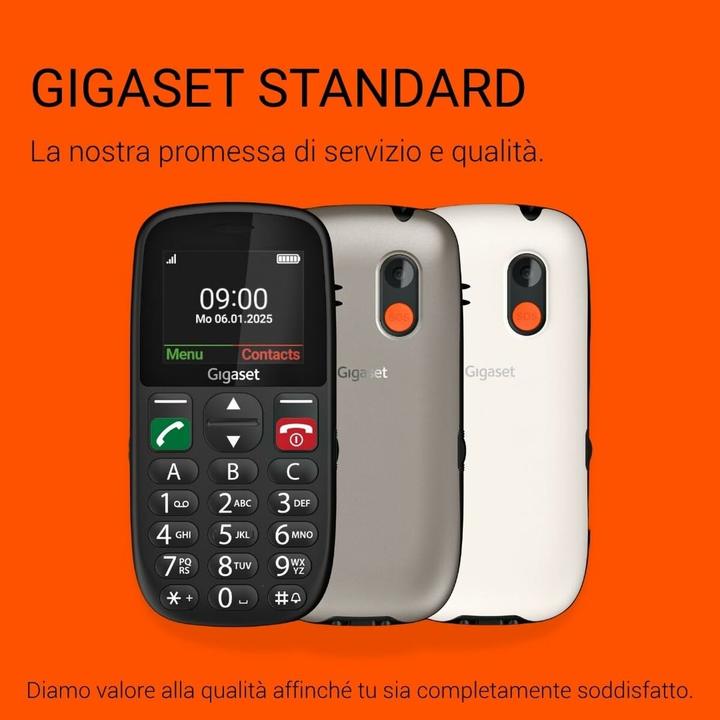Actual product image Gigaset GL395 silver (2.20", 0.30 Mpx, 2G)