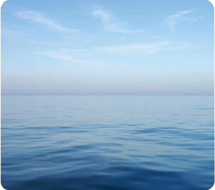 Produktbild Fellowes Ozean (S)