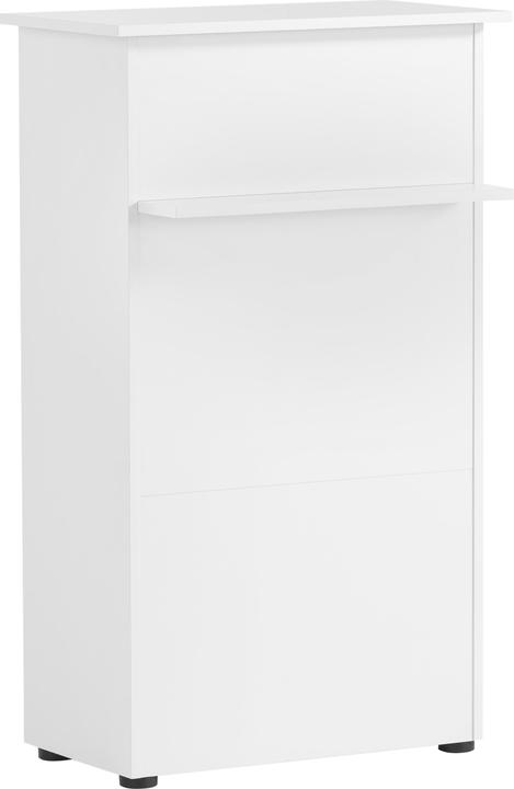 Actual product image Schildmeyer Reception desk (66 x 44 x 110.5 cm)