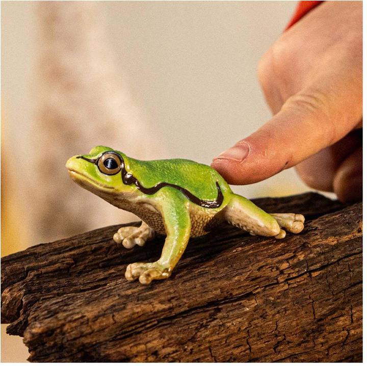 Image du produit Schleich Rainette européenne