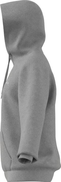 Produktbild Adidas FL Recbos Hoodie (M)