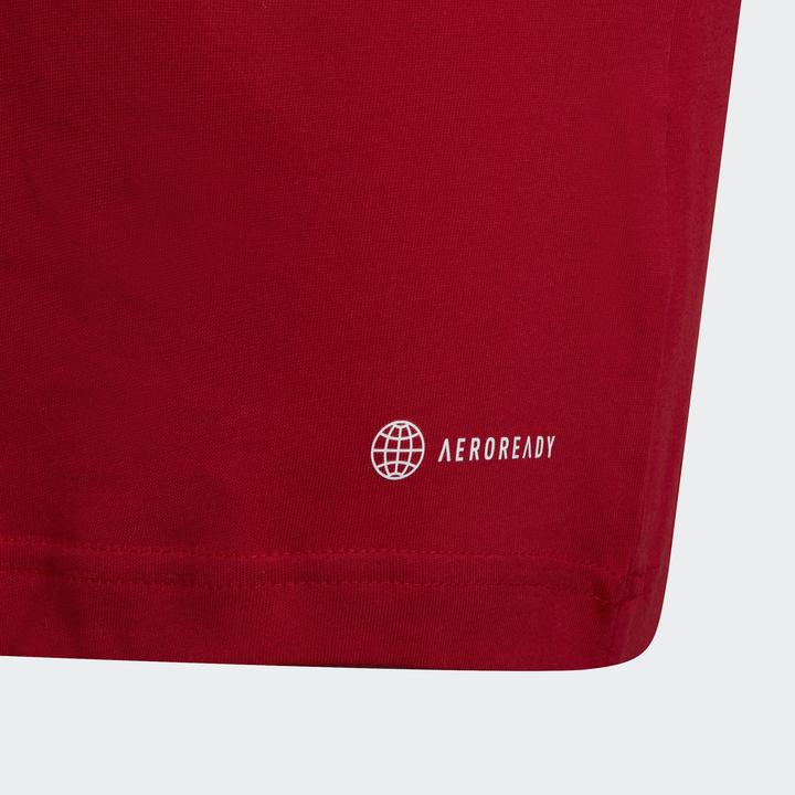 Produktbild adidas Entrada 22 T-Shirt Kinder (152)