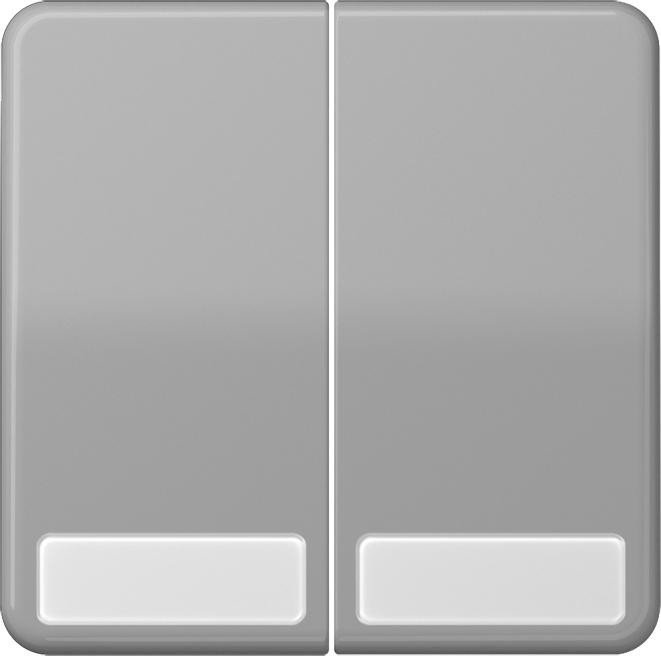 Actual product image JUNG Rocker 2t switch CD gr glz BSF CD595NAGR