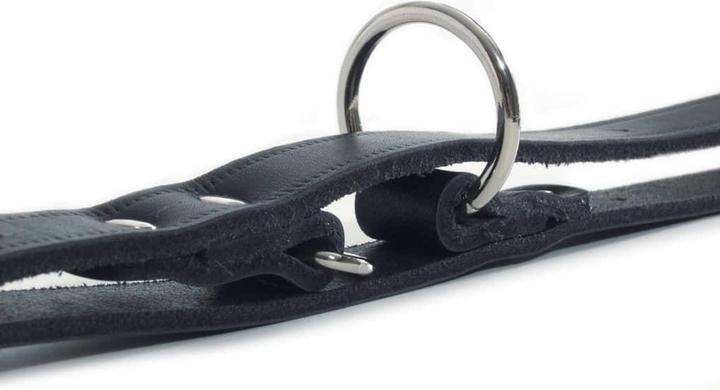 Actual product image Beeztees Dog leash (Dog)