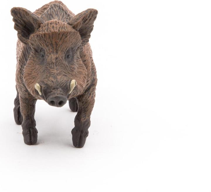 Image du produit Papo Sanglier