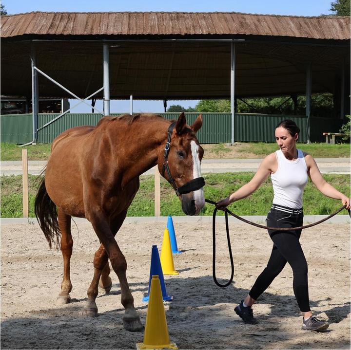 Produktbild Dönges XXL Pylon, gelb