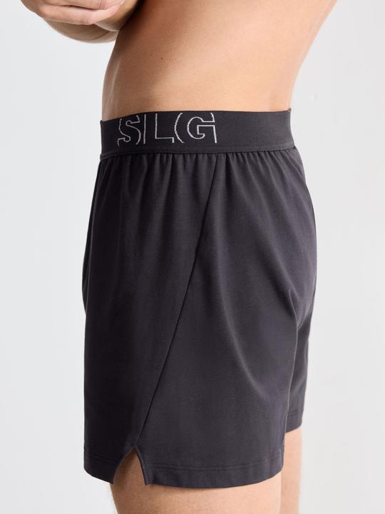 Image du produit Sloggi Boxer Shorts (XL, lot de 2)