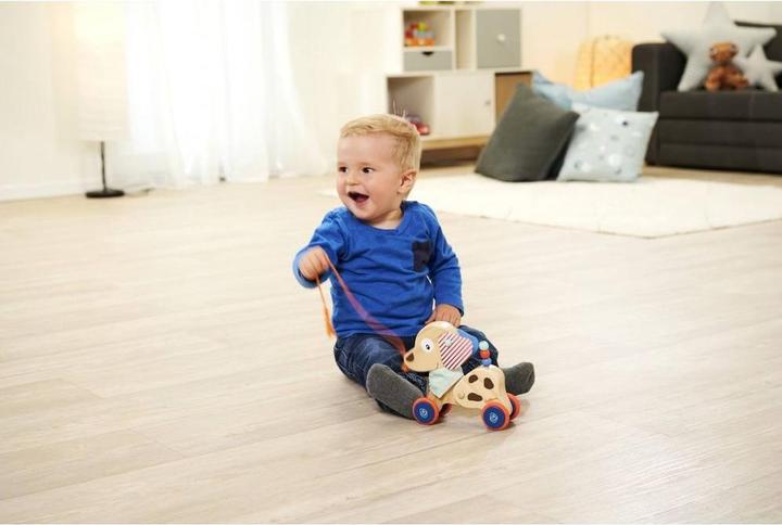 Produktbild Eichhorn Nachziehtier Hund