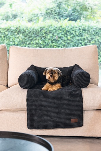 Productafbeelding Designed by Lotte Geribbeld (Hond)