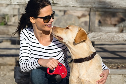 Produktbild Flexi New Classic Seil (S, Hund, Spazieren)