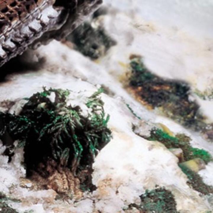 Actual product image Vallejo Weathering Effects