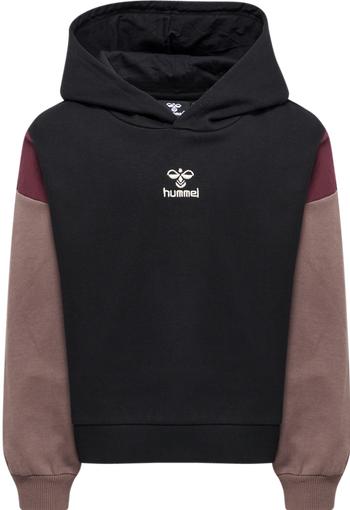 Immagine prodotto hummel Felpa Con Cappuccio Hmlpaloma (110)