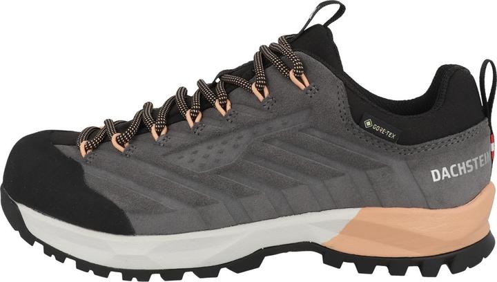 Dachstein Super Ferrata 21 GTX (37.5)