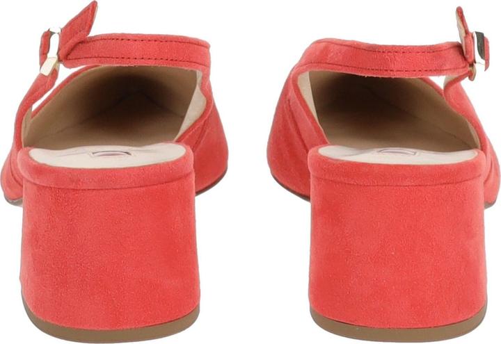 Actual product image Högl Pumps (35)