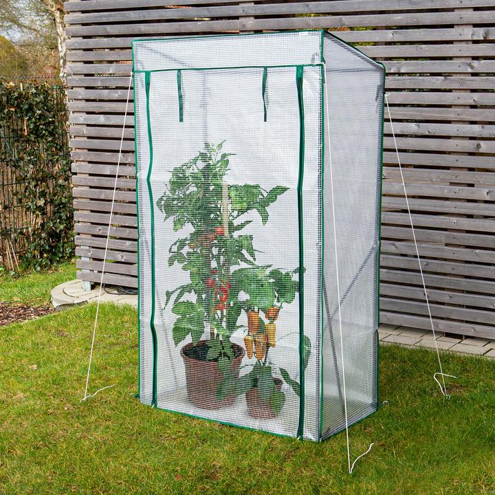 Actual product image Hoberg Greenhouse