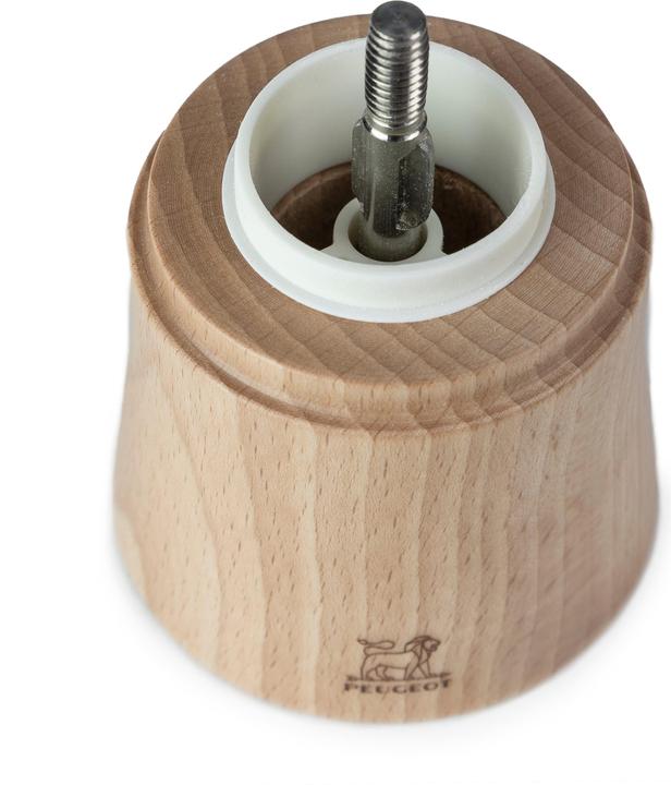 Actual product image Peugeot Baya (Salt)