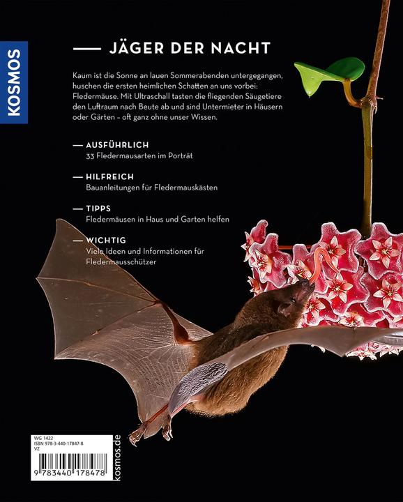 Produktbild Kosmos Fledermäuse (Deutsch, Klaus Richarz, 2023)