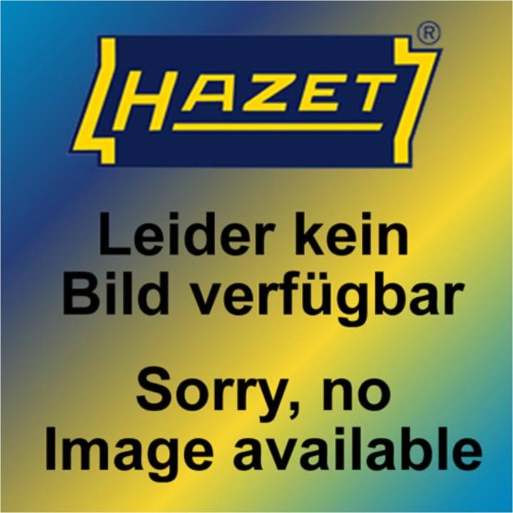 Actual product image HAZET 2C soft foam insert 163-59L