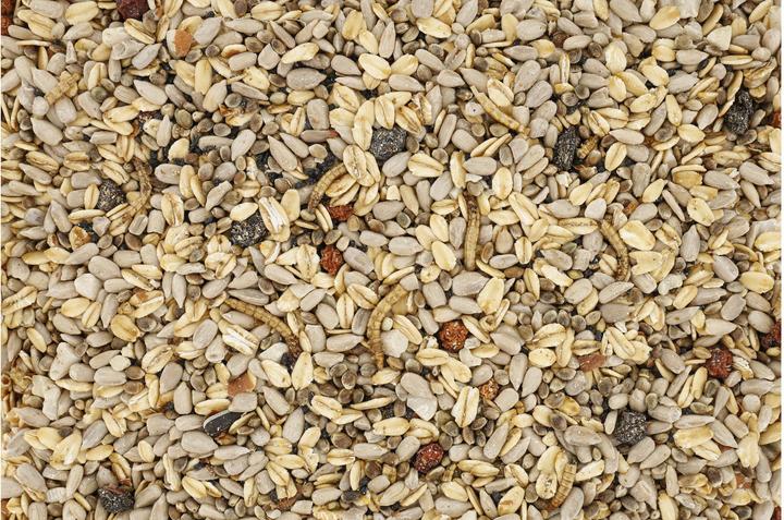 Produktbild Schweizer Eric Vogelfutter Wildvogelmischung Expert 5 kg (1 x, 5 kg)
