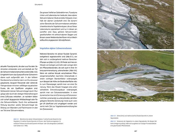 Image du produit Biodiversität zwischen Wasser und Land (Allemand, Rolf Holderegger, Florian Altermatt, Sabine Güsewell, 2024)