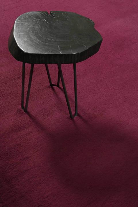 Image du produit Homie Living Teppich Vita (70 x 140 cm)