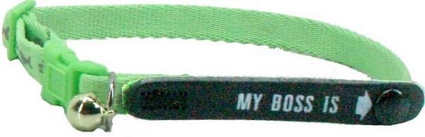 Actual product image Nobby Address cat collar My Boss is (Cat, General)