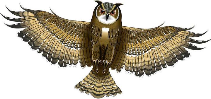 Actual product image Günther Flugspiele Owl