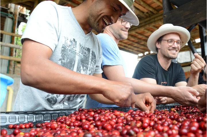 Produktbild Vicafe Los Nogales Decaf (350 g, Mittlere Röstung)