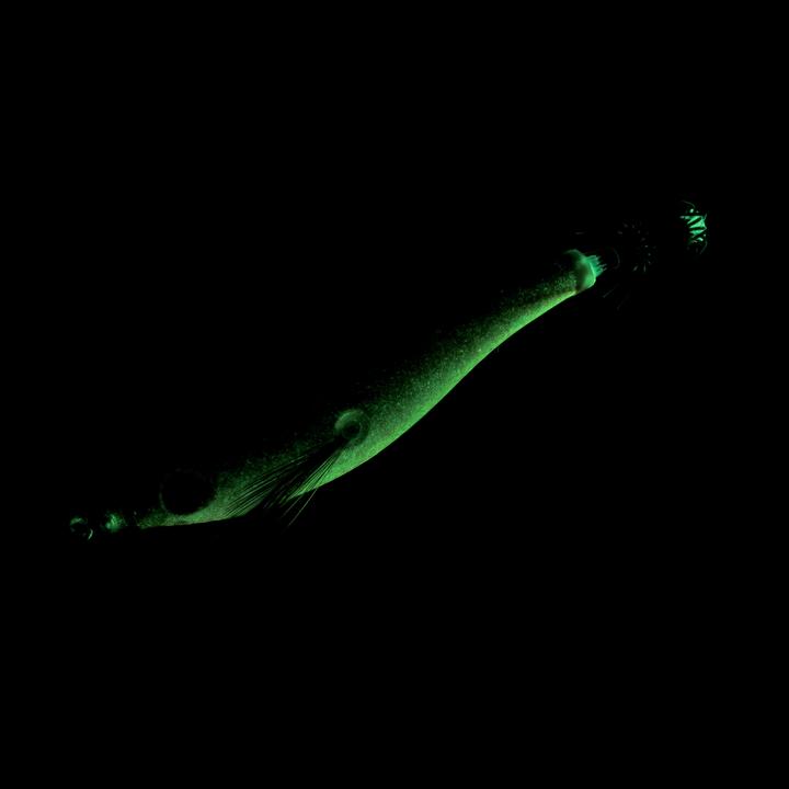 Immagine prodotto Caperlan EBIFLO 90 / 2.5 325952 (2.50 cm)