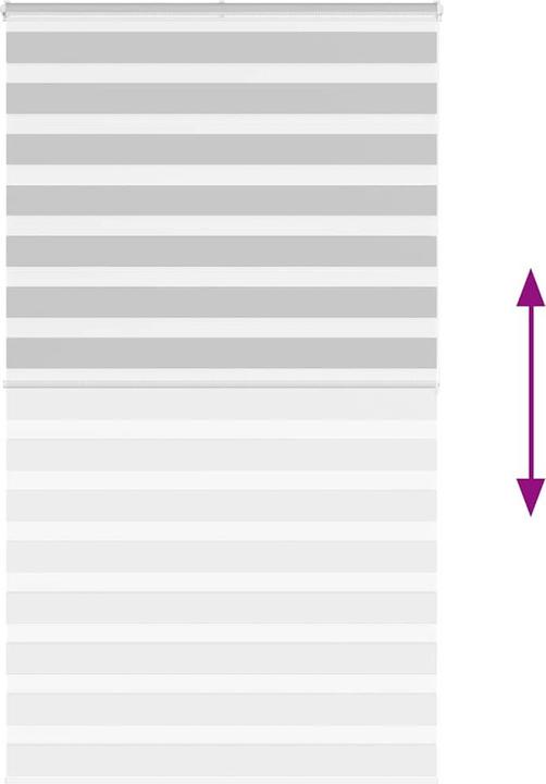 Produktbild vidaXL Zebra-Jalousie (125 x 200 cm)