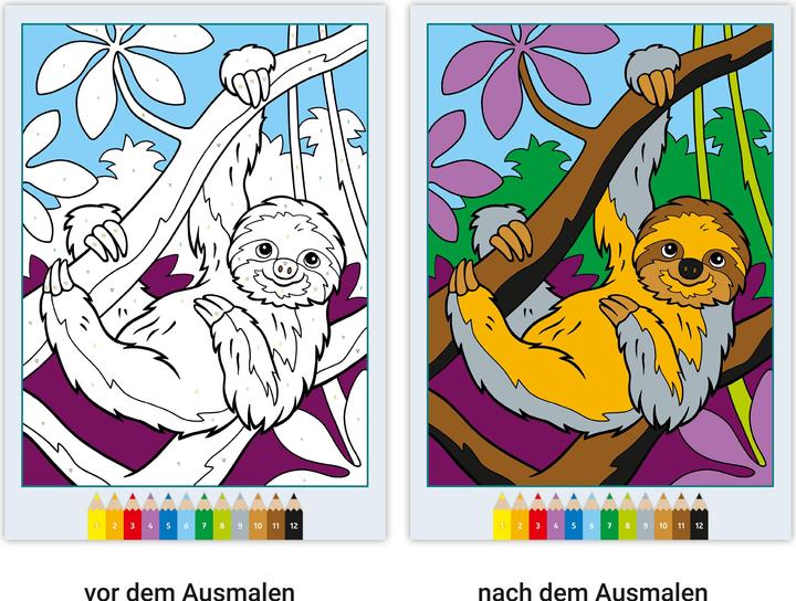 Immagine prodotto Ravensburger CreArt Dipingere con i numeri a partire da 5: animali carini, libro da colorare, 48 motivi