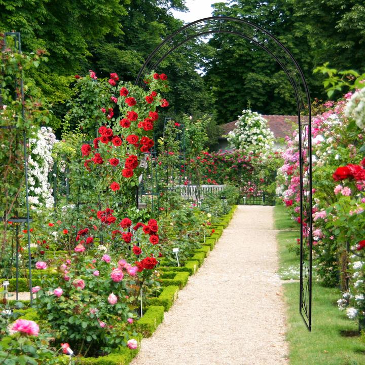 Actual product image Relaxdays Rose arch (36 cm, 125 cm)