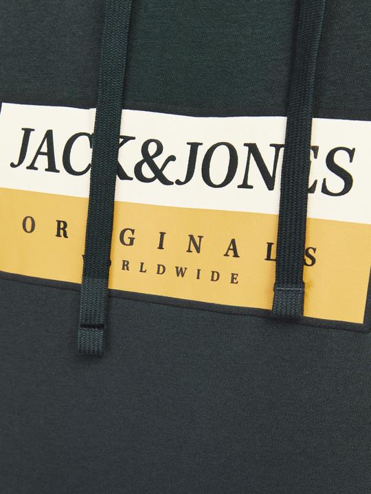 Immagine prodotto Jack & Jones Jorfrederiksberg Box Sweat Hood Sn (XS)