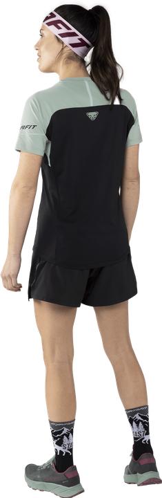 Produktbild Dynafit Alpine Pro T-Shirt (42)