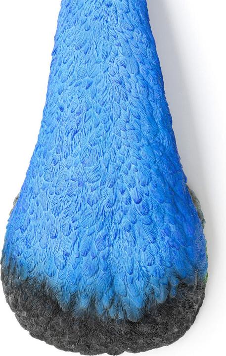 Produktbild Kare Design Wandschmuck Peacock (22 x 68 cm)