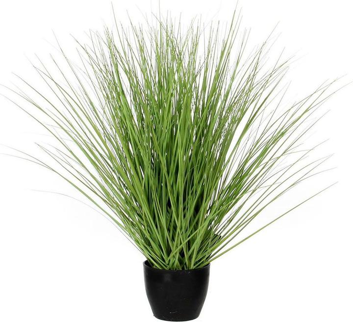 Mica Decorations Gras - kaufen bei Galaxus - Galaxus
