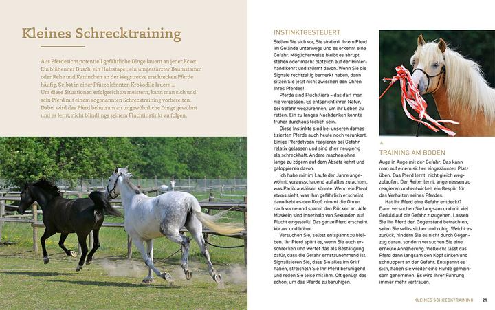 Image du produit Kosmos Bodenarbeit mit Pferden (Allemand, Sigrid Schöpe, 2023)