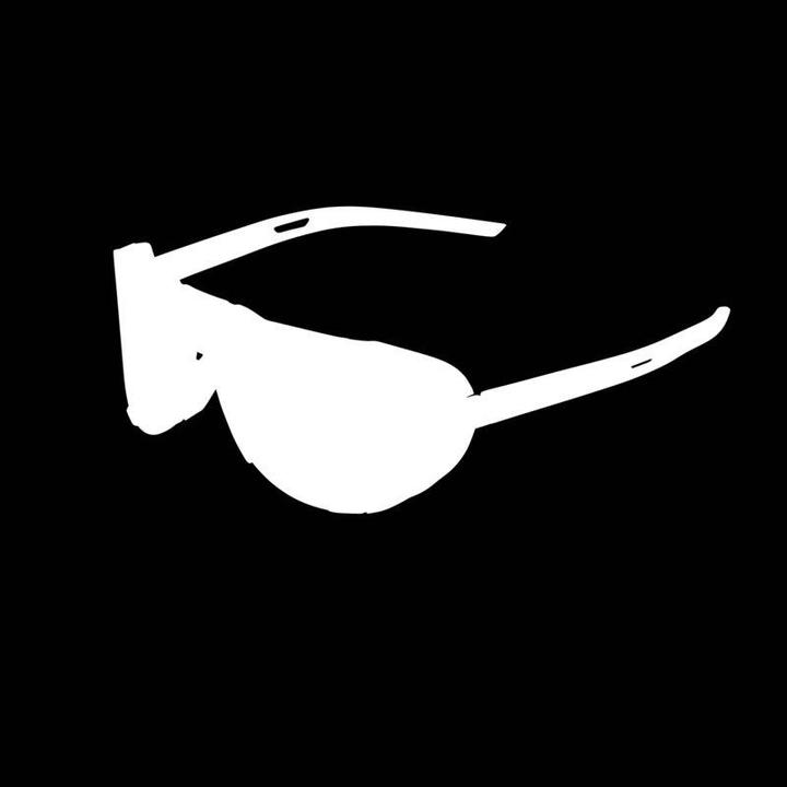 Actual product image 100% Westcraft (Mat Black, Smoke)