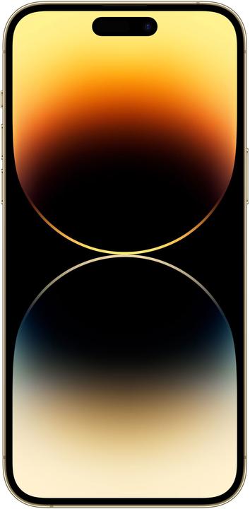 Produktbild Apple iPhone 14 Pro Max (256 GB, Gold, 6.70", SIM + eSIM, 48 Mpx, 5G)