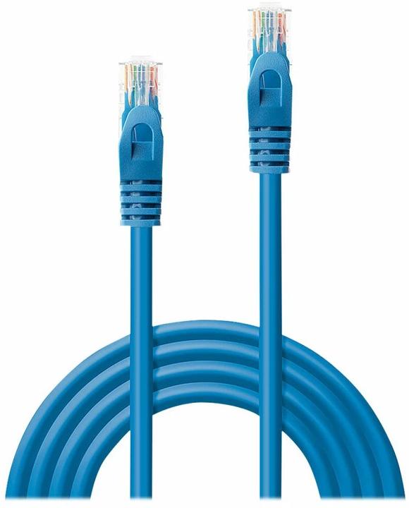 Image du produit Lindy Câble réseau (U/UTP, CAT6, 0.50 m)
