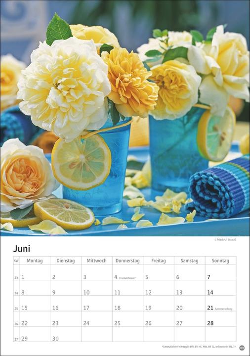 Produktbild Rosenpracht Kalender 2026 (23,5x33,5cm)